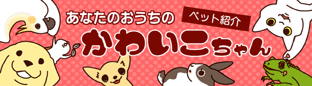 �y�b�g�Љ�