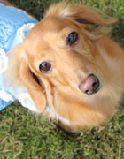 �Βˉƃ��J�����