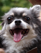 �͍�Ƃ����ҁ[����