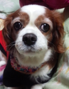 �䌳�ƃ}���[�����