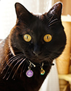 ���։Ƌ󂭂�