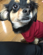 ���ƃ}���������