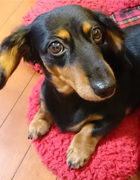 ���ƃ}���������