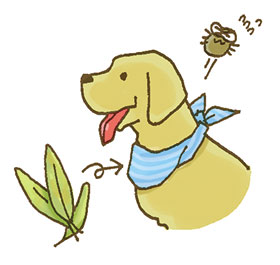 ���������m�~�΍�