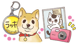 �y�b�g�̖h��