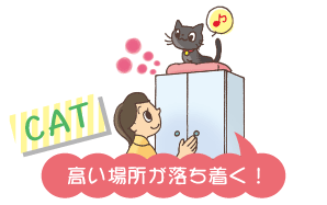 �L�@�����ꏊ����������