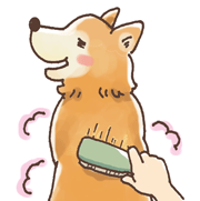 ���Ƀu���b�V���O