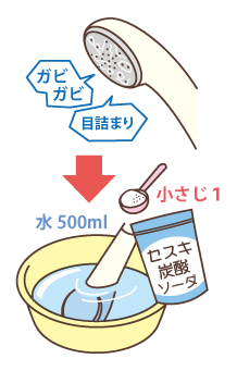 �V�����[�w�b�h�̐􂢕�