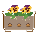 �����ƃp���W�[�̊񂹐A��