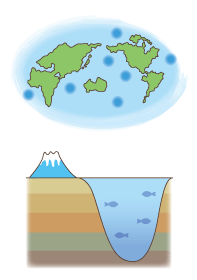 ���̊C�@�C�̍L���Ɛ[��