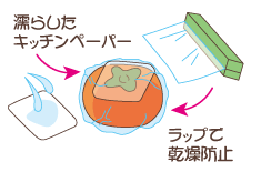 �`�̕ۑ����@