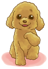 �g�C�v�[�h��