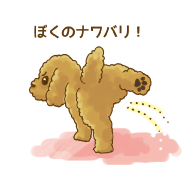 �����ł����������錢